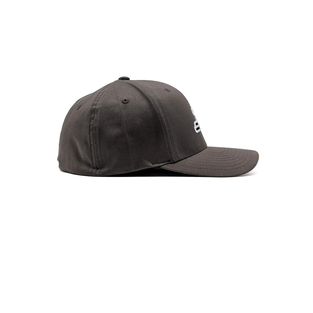 Birdie Slayer - Dark Gray Flexfit Fitted Golf Hat