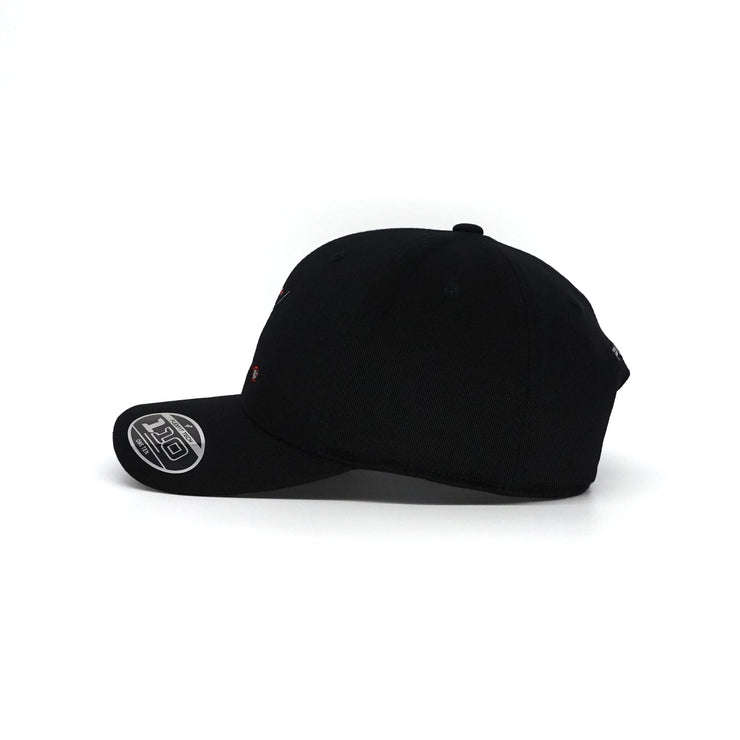 Flexfit 2024 golf hats