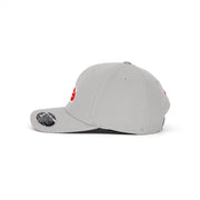 Birdie Slayer - Silver Flexfit® 110P Performance Golf Hat